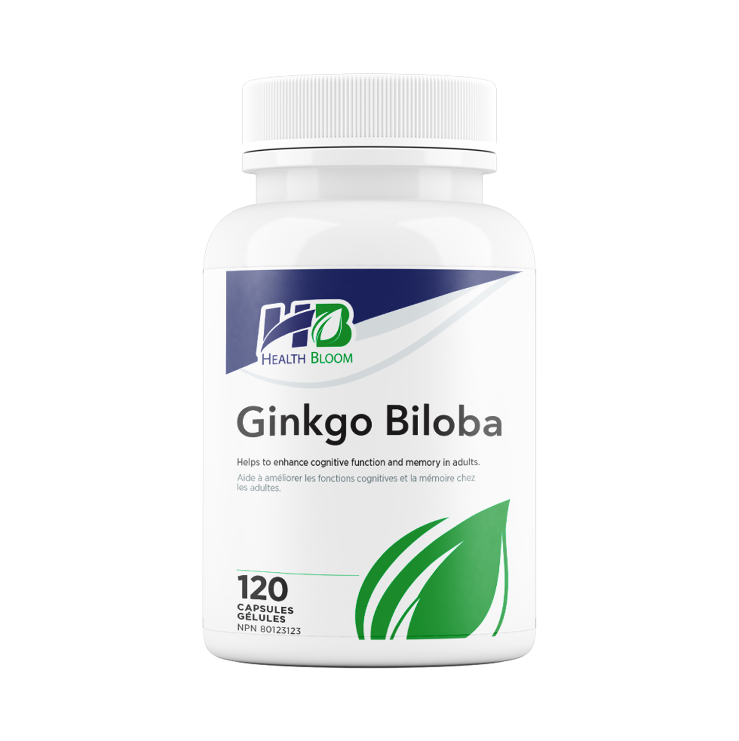 Ginkgo Biloba