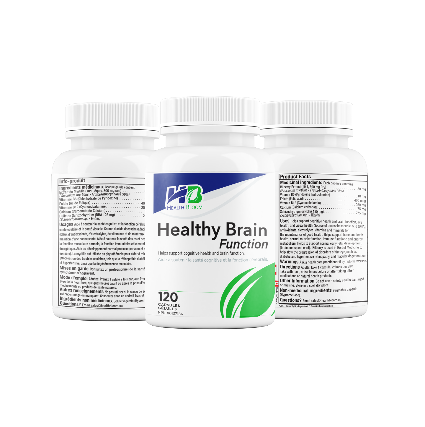 Healthy Brain Function