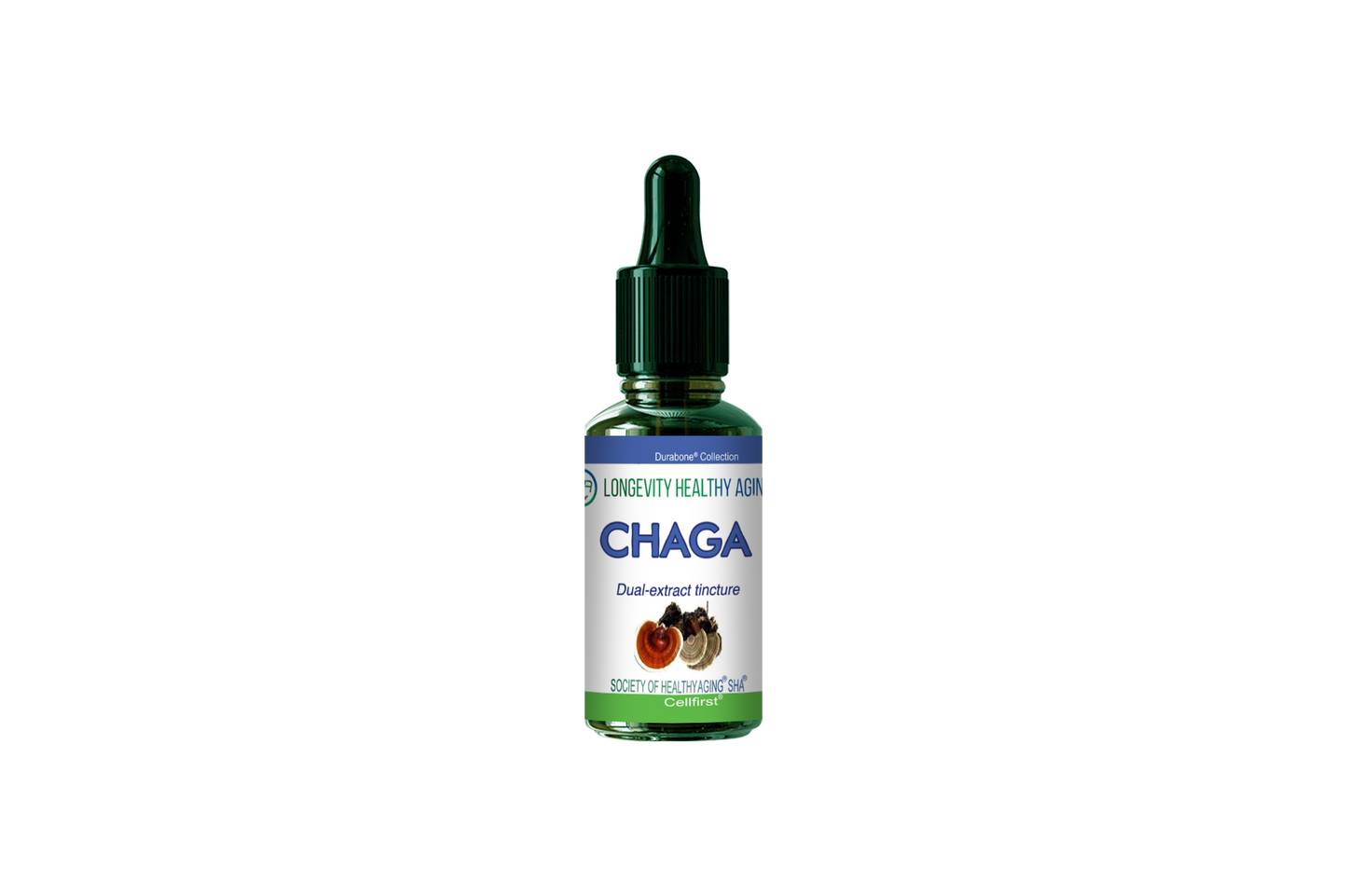 Longevity Club: Chaga